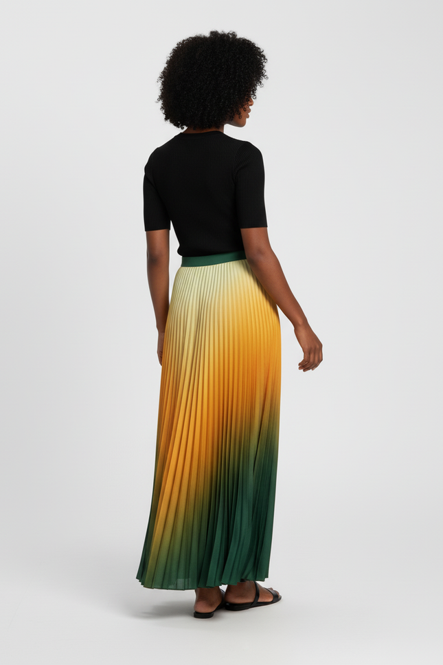 jupe longue plissée multicolore